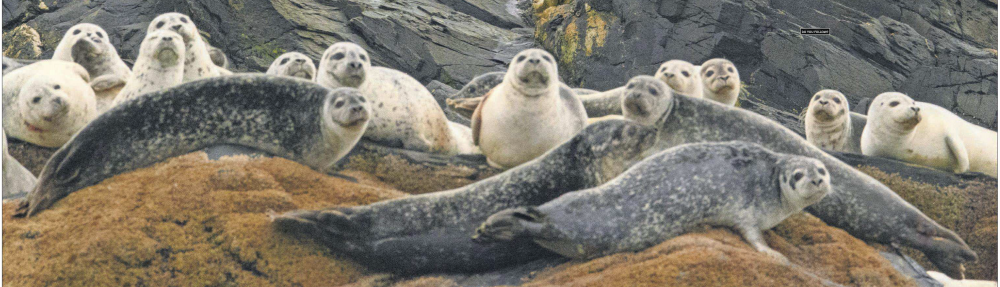Durham Friends Meeting (Quaker)