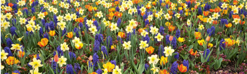 Durham Friends Meeting (Quaker)